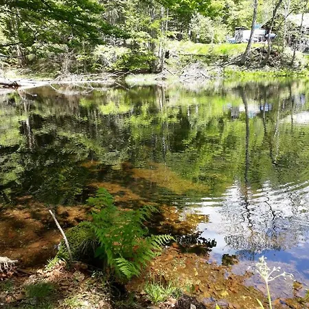 Bayerwald بيت للعطل Ringelai