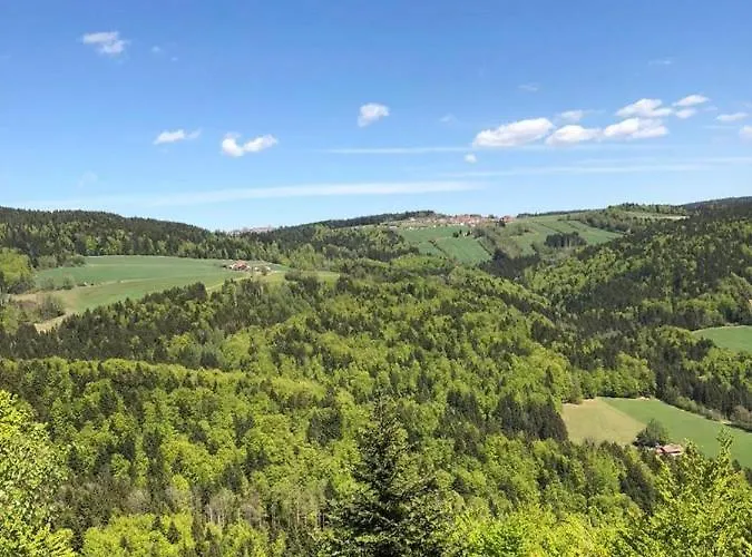 Bayerwald * Ringelai